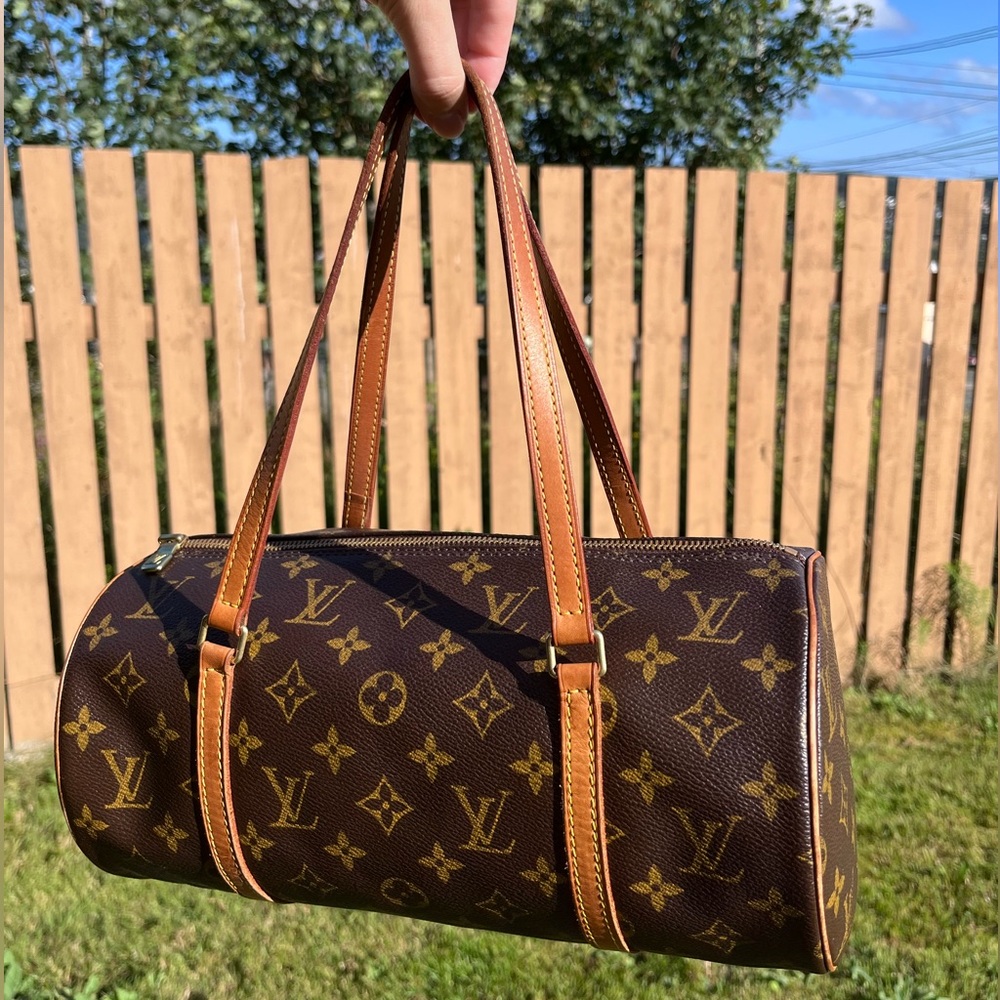 Papillon 30 & baby papillon